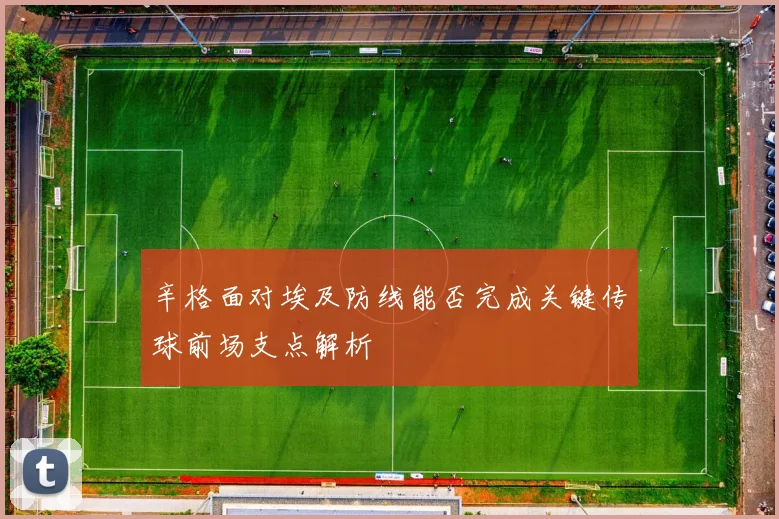 辛格面对埃及防线能否完成关键传球前场支点解析