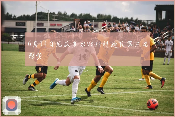 6月14日厄瓜多尔vs科特迪瓦第三名形势
