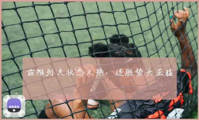 兹维列夫状态火热，连胜势头正猛