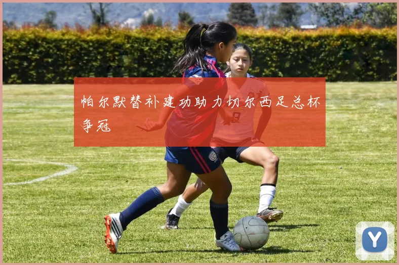 帕尔默替补建功助力切尔西足总杯争冠