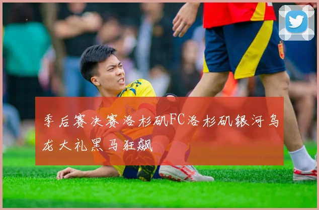 季后赛决赛洛杉矶FC洛杉矶银河乌龙大礼黑马狂飙
