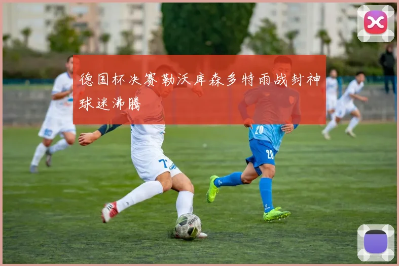 德国杯决赛勒沃库森多特雨战封神球迷沸腾