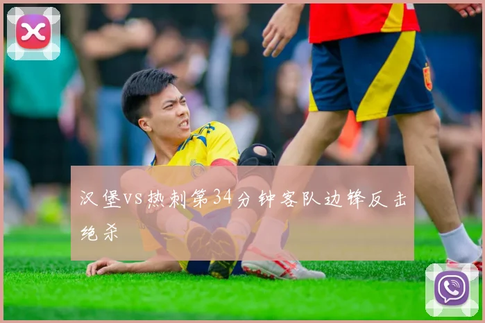 汉堡vs热刺第34分钟客队边锋反击绝杀