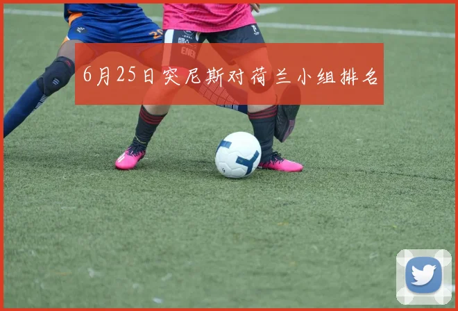 6月25日突尼斯对荷兰小组排名